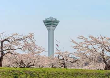 8D6N Enjoy Hokkaido Sakura + Goryokaku Tower + Maruyama Park + Hong Kong City